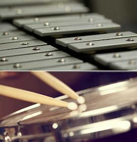 Shop Percussion Instruments Online