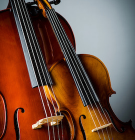 Shop String Instruments Online
