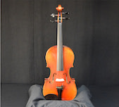 Andreas Eastman VL605 4/4 Size Violin